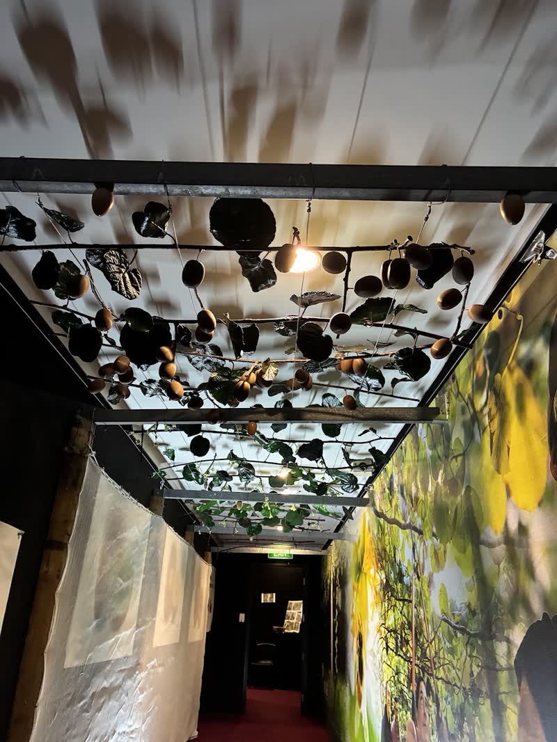 The installed canopy seen from below, spanning the length of the corridor