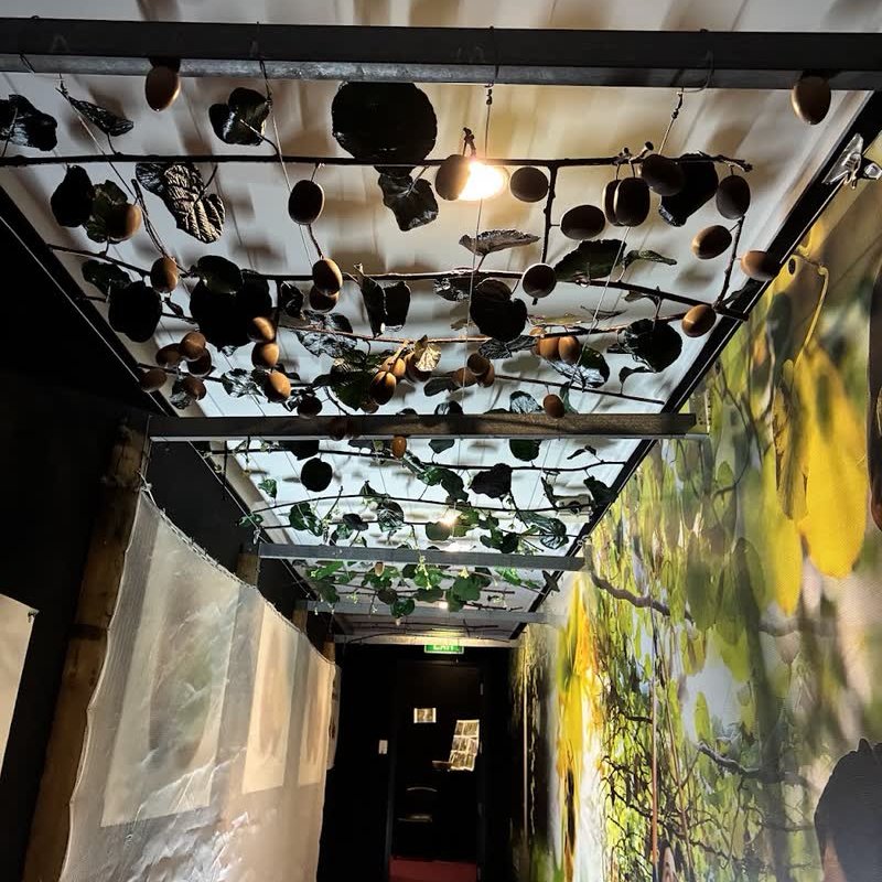 A 3D printed kiwifruit canopy hanging over a corridor in the Te Puke Heritage Hub, with fruit overhead