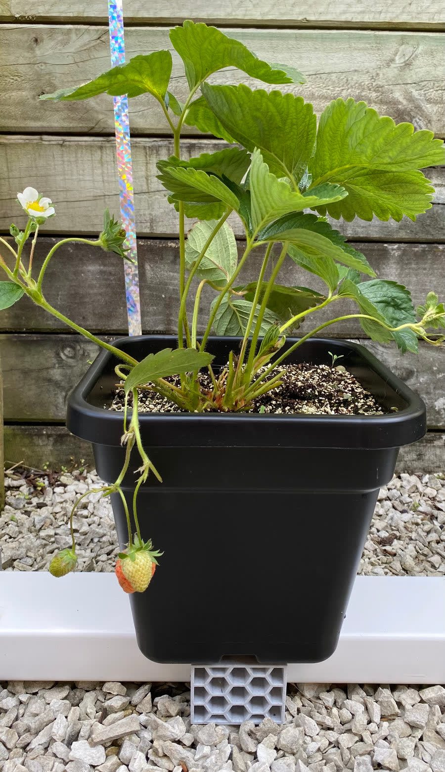 Hydroponic Planter Stand, 3D printed in New Zealand